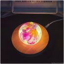 도반농장 | 감성적인 문진 추천 립스팜 생화드라이문진 무드등으로도 활용 가능!