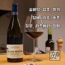 디암그룹 | [프랑스 와인] 도멘 샹송 본 바스티옹 1er 2015 / Domaine Chanson Beaune Bastion 1er 피노누아 레드...