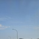제865차(4.4.목) 정기 산행 앨범/서울 남산타워 순환 산책로 벚꽃길 투어(1/2) 이미지