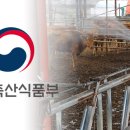 매월축산 이미지