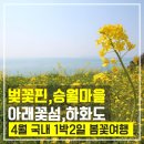 서교연등천길 이미지