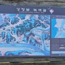 강정보 녹색길 이미지