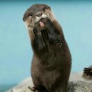 부일로460번길 이미지