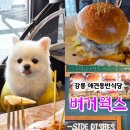 버거웍스 | 강원도 강릉 여행 | 안목해변 카페거리 브런치 실내 애견동반 버거웍스 수제버거 식당 솔직후기