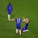 조코라인 이미지