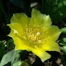 소희꽃농원 이미지