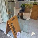 영덕사랑동물병원 이미지