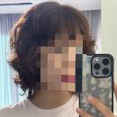 애쉬브라운 염색 후기: 연신내역 미용실 추천!