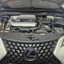 더블유모터스 이미지