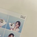 폴라스튜디오