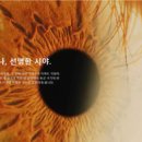 글라스타안경 영종운서점 이미지