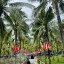 삼시세차장 | 이른 여름 휴가 치앙마이, 샴 고양이 까미