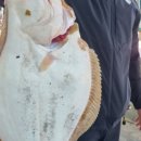 낚시민박 이미지