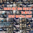 기초 스마트폰 사용법 | 마산PT 운동다짐에서 운동하고 5만원 버는 법.(국민체력100 튼튼머니 적립 방법)