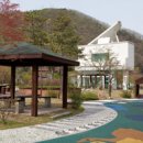 왕숙천고향의강 이미지