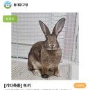 관악동물종합병원 이미지