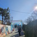 논골 | 👉 묵호 논골담길 카페 말똥도나스 논골점｜바다뷰 카페 후기