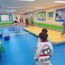 지음태권도 이미지