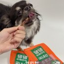 (주)헬로마이펫 이미지