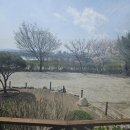 고산로 | 누룽지백숙 장수촌 삼패사거리 고산로266