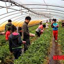 부산우체국 이미지