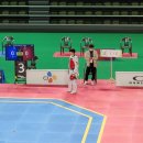 용인대오현태권도 이미지