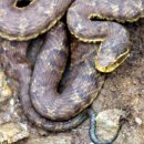 성심메디칼 이미지