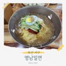 부산 밀면 맛집 대신동 영남밀면 주차장, 만두 내돈내산 2년연속 방문후기