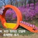 진달래화원 | 26회 부천 원미산 진달래축제 현장 후기, 주말 나들이에 딱이야!