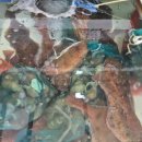 이동공설시장 이미지