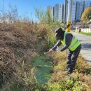 영주시보건소 이미지