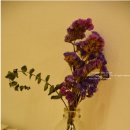 하하세탁소 이미지