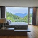 오퐁드부아 스테이 이미지