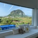 서툰가족 4번지 이미지