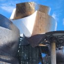 빌바오 | 빌바오 여행, 구겐하임 미술관 관람 후기