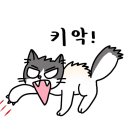 심쿵하냥 이미지