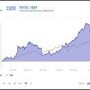 미진 인터내셔날 이미지
