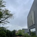 유리2스테이 | 제주 가족여행 숙소 어디가 좋을까? 10인도 넉넉한 단심스테이 조천 2박 후기