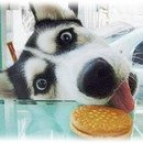 수정가요방