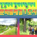 건강도시&문화마을 티스토리