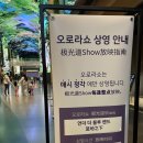 쇼호텔 | [인천/중구] 인스파이어 호텔 오로라 쇼 감상 후기 &lt;인스파이어 엔터테인먼트 리조트&gt;