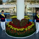 여수시민회관 이미지