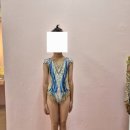 드림웨어 네이버블로그