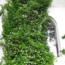 CLUB E·S 통영리조트 이미지