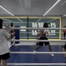 엔엔엔복싱
