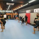 몬스터MMA 이미지