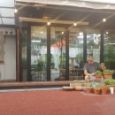 라본헤어(수원광교점)