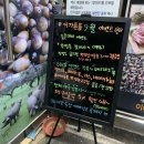 이가돈풍 이미지