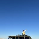 더푸르개 이미지