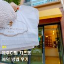제주 치즈케이크 맛집 제주하멜 현장구매 실패 예약 후기
